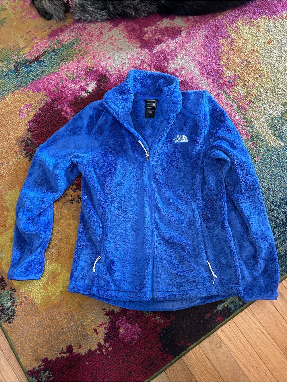 The North Face Electric Blue Plush Osito Fleece Jacket